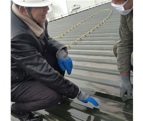 T9303無溶劑環氧防腐底漆